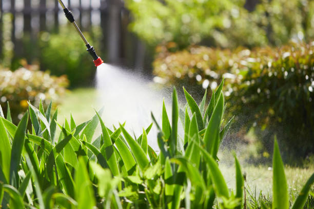 Tamper-Resistant Bait Stations for Rodents in Mountain Lodge Park