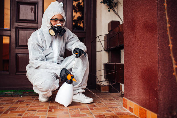 Attic and Crawl Space Rodent Treatment in Mountain Lodge Park