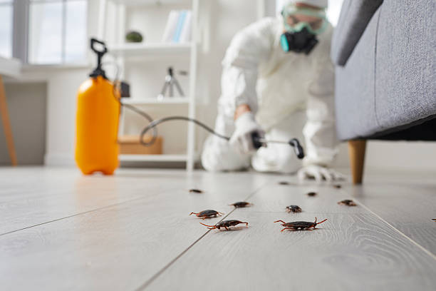 Commercial Rodent Management in Mountain Lodge Park